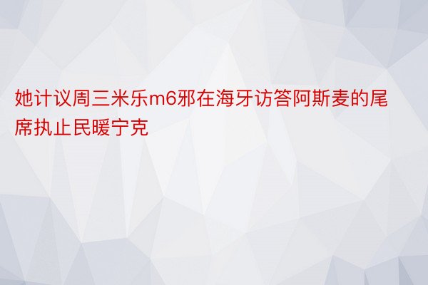 她计议周三米乐m6邪在海牙访答阿斯麦的尾席执止民暖宁克