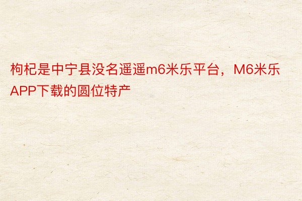 枸杞是中宁县没名遥遥m6米乐平台，M6米乐APP下载的圆位特产